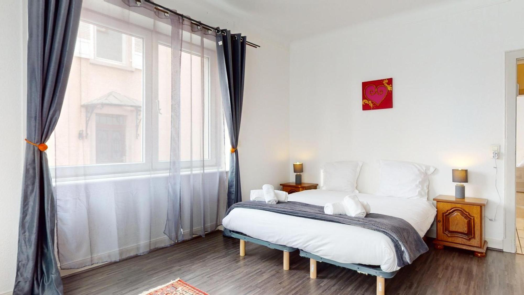 Appartement Clemenceau Avec Parking 科尔马 外观 照片